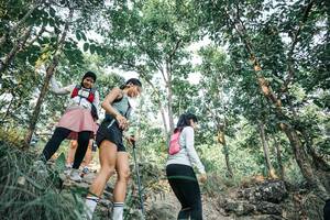 BIB: 
                            <button type="button" onclick="openModal(25980325)" class="btn btn-primary btn-sm float-right btn-popup" data-toggle="modal" data-target=".modal-high-quality">
                        <i class="fas fa-shopping-cart"></i> Add to Cart
                    </button>
                                            <button type="button" onclick="isThisMe(25980325, true)" class="btn btn-success btn-sm float-right btn-popup btn-isme hidden" data-toggle="tooltip" data-placement="bottom" title="นี่คือรูปของคุณใช่ไหม คลิกที่นี่เพื่อเอาเข้าอัลบั้ม">
                        <i class="fas fa-plus"></i> Add to album
                    </button>
                    <button type="button" onclick="isThisMe(25980325, false)" class="btn btn-warning btn-sm float-right btn-popup btn-isnotme hidden">
                        <i class="fas fa-ban"></i> Remove from album
                    </button>